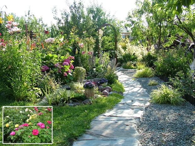 Ścieżka z tarasu do tylnej części ogrodu, po lewej stronie rabata z liliami i hortensją ogrodową i różami, jest tu także trawniczek i huśtawka zapraszająca do odpoczynku, po lewej żwirowa rabatka z trawami hakonechloa za nią brzoskwinie pomiędzy którymi r