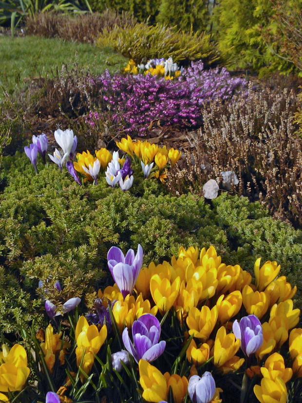.......sezon działkowy czas zacząć........