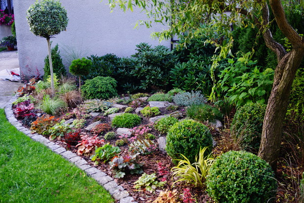 Skalniak zwany rojnikowiskiem.