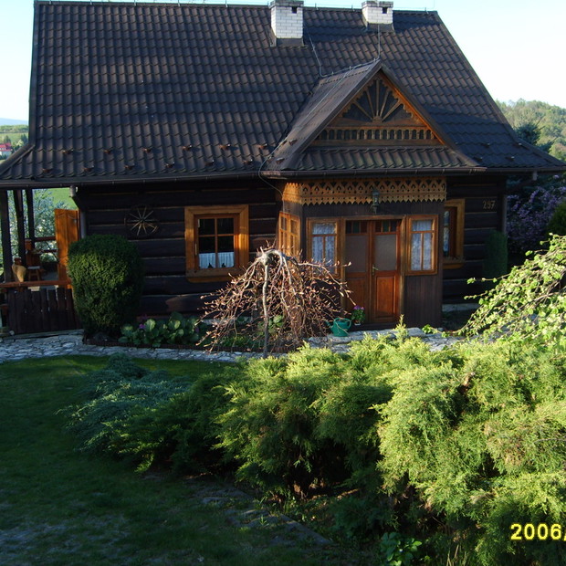 STARA CHALUPA W OTOCZENIU ZOLTYCH JALOWCOW