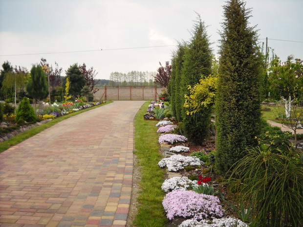 Ta sama alejka wczesną wiosną.     