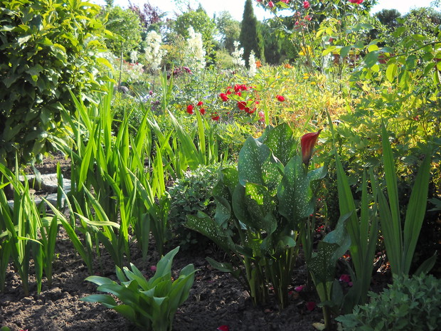 Tajemniczy zakątek.