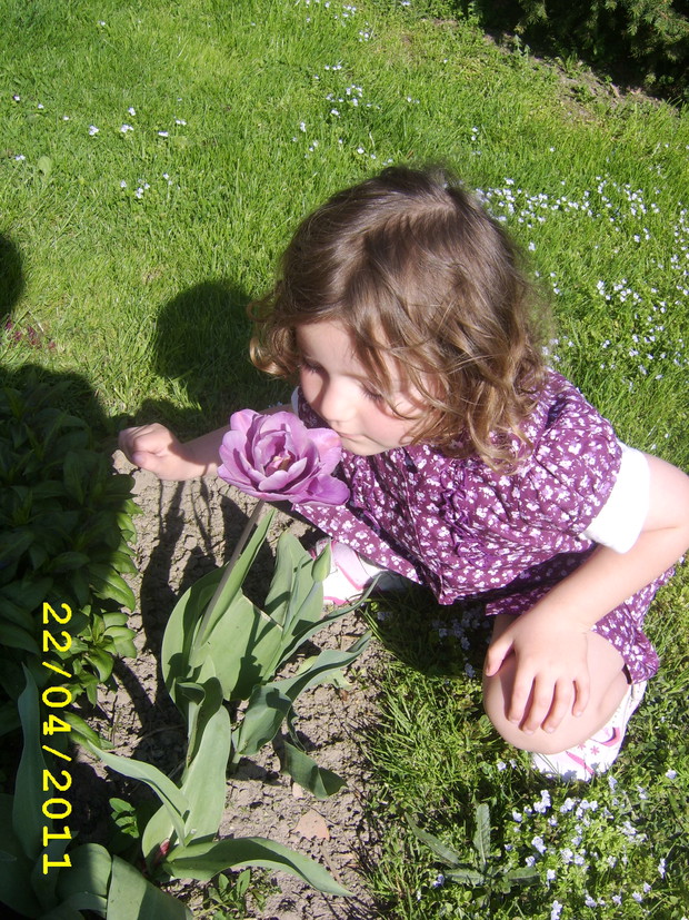 Tulipanki pod kolor sukienki.