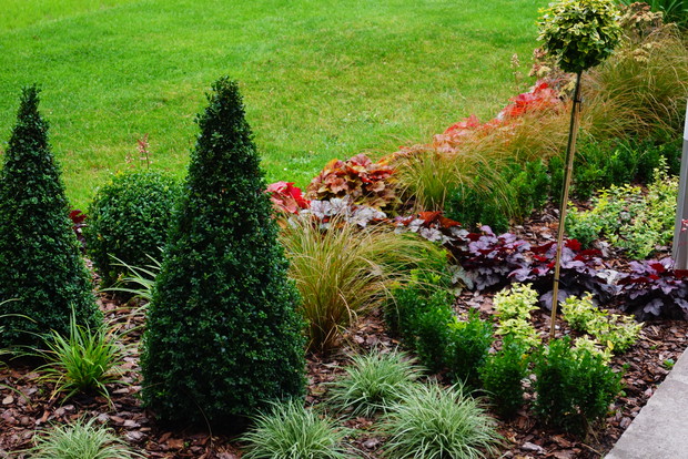 Turzyce, żurawki, trzmielina, bukszpany, wiosną zakwitną szafirki i tulipany, aby nie było nudno.