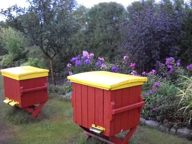 Ule a z nich pyszny miodzik .