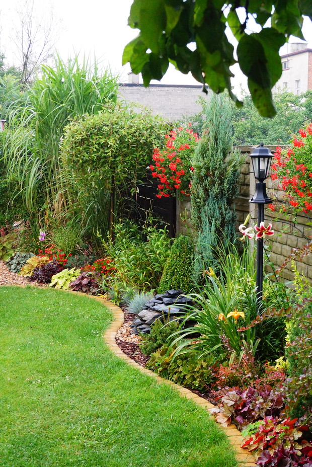 W oddali kącik trawiasty z miskantami i oczywiście żurawkami