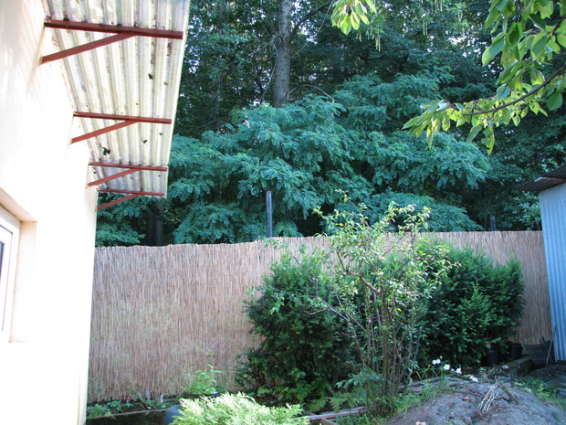 w tym roku zapragnęliśmy prywatności : )Nowe ogrodzenie : )