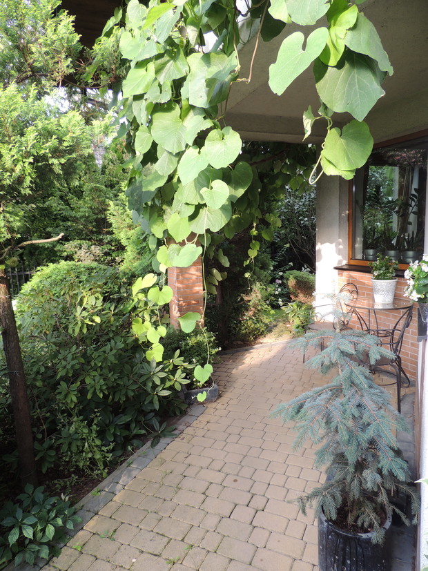 Wejście do tajemniczego ogrodu