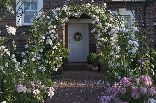 Wejście pod różanymi łukami