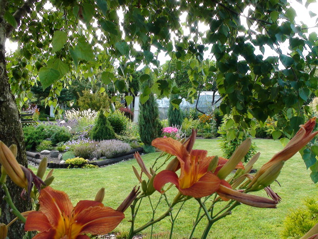 Widok na niewielki skalniak