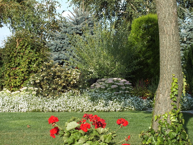 Widok na strefę cienia.