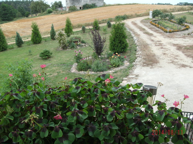 Widok z tarasu na część przed domem