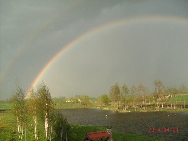 Widok z tarasu - staw mały zagajnik obok zagajnika jest sad a dalej warzywnik