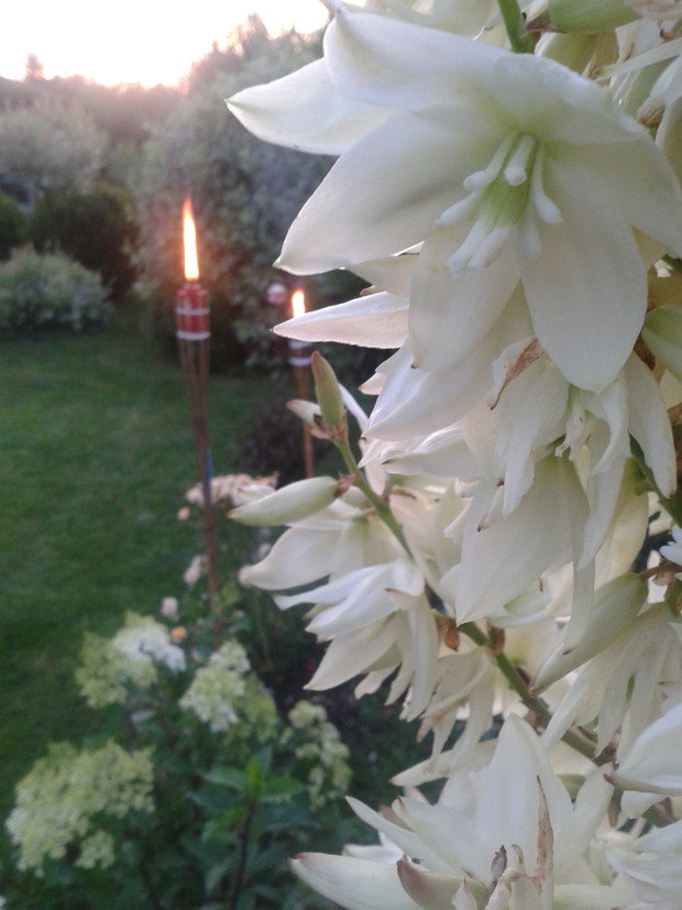 Wieczorową porą :)