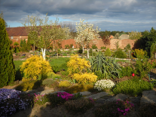 Wiosenne popołudnie w moim ogrodzie.