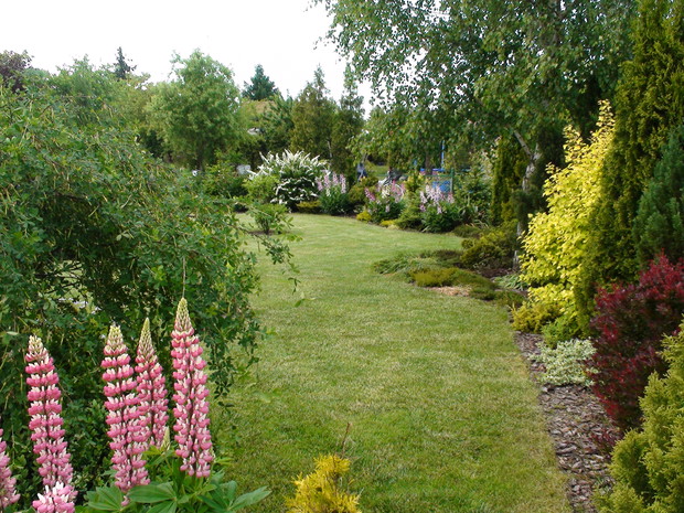 Z każdej strony działki jest coś interesującego
