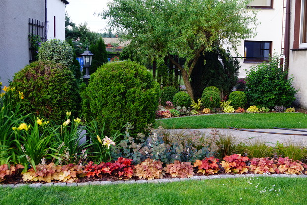 Z przodu żurawki, z tyłu żurawki.