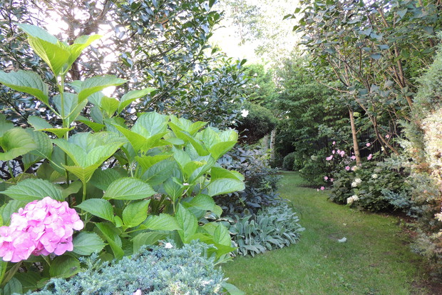 Zacienione przejście w tajemniczym ogrodzie.