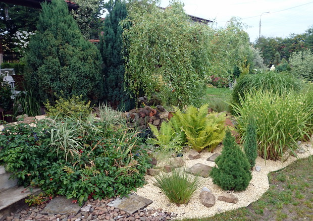 "Zamaskowane" mini oczko wodne