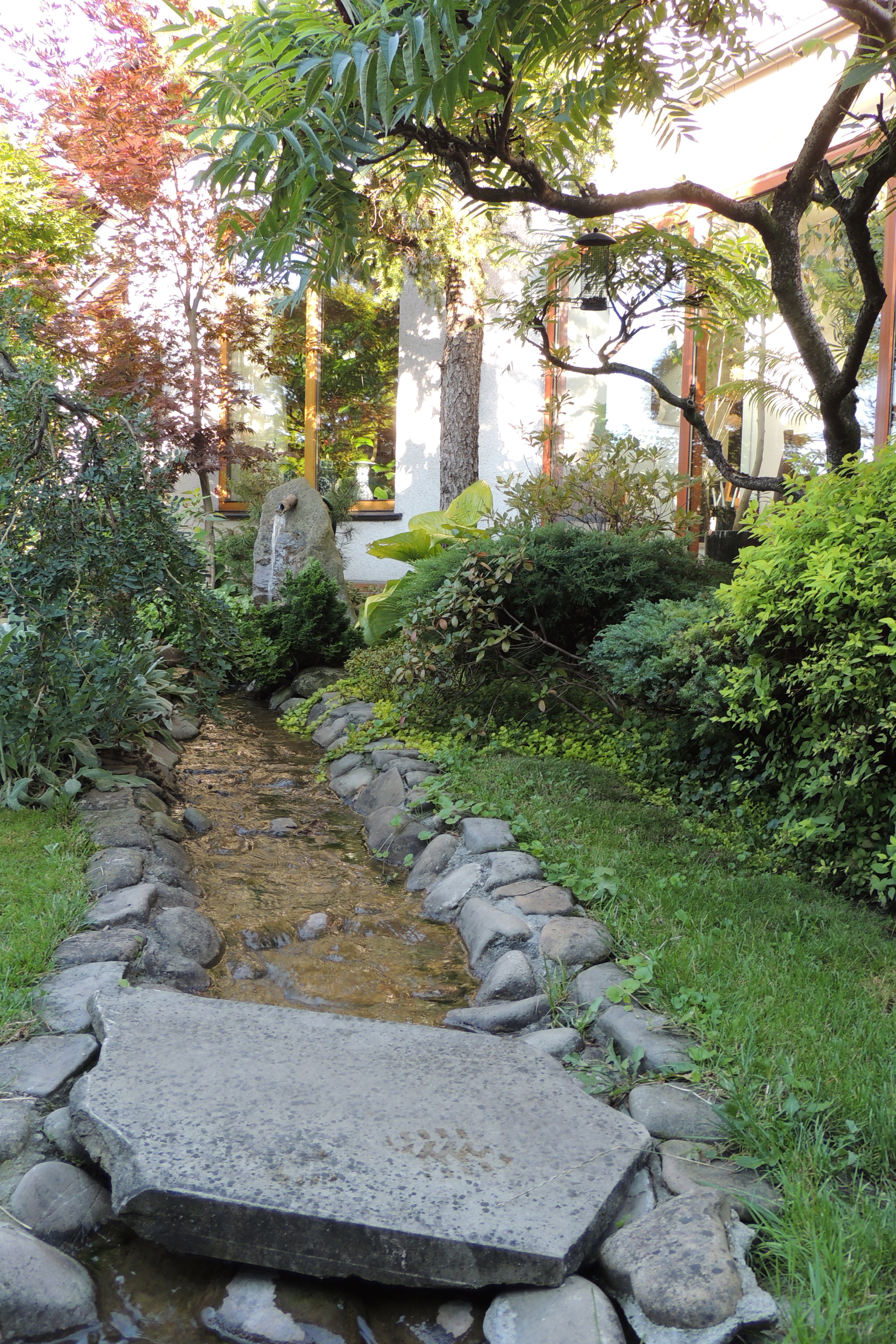 Źródełko i rzeczka