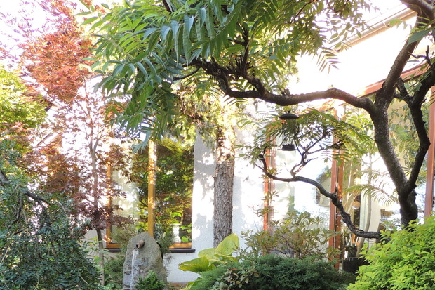 Źródełko i rzeczka