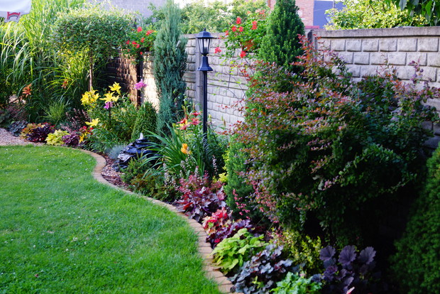 Żurawki grają pierwsze skrzypce.