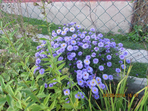 ........................