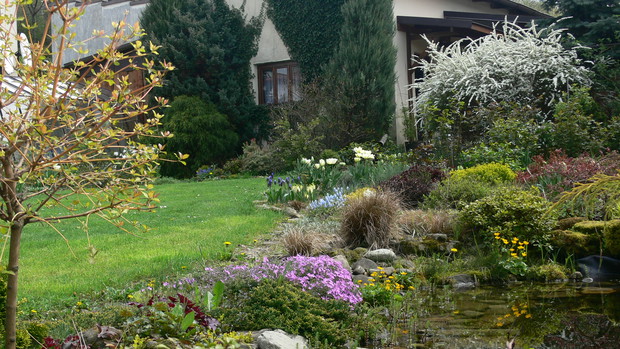 Bluszcz niedługo pochłonie całą ścianę