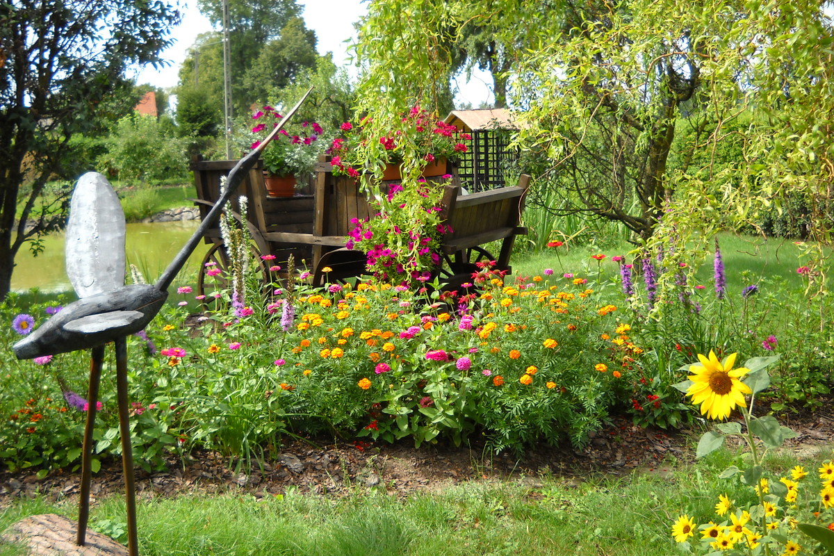 Bryczka nad stawem.