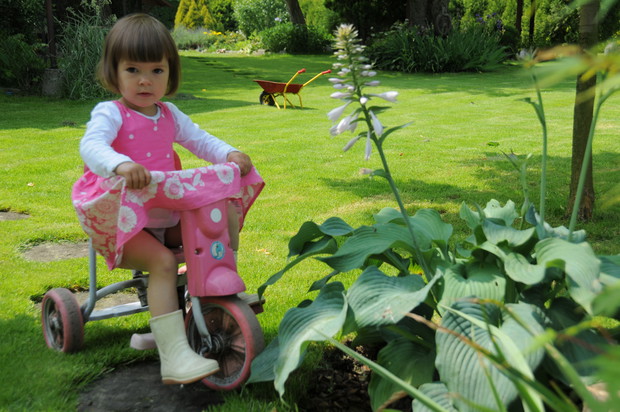 cóż za radość poszaleć po trawniczku