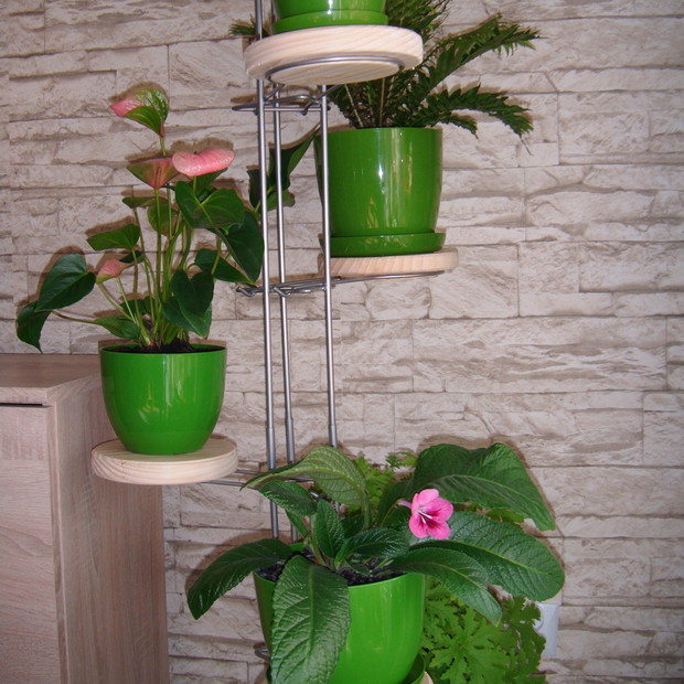 Druga cześć kwietnika