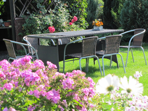 Dzięki kwitnącym kwiatom mamy  jeszcze lato.