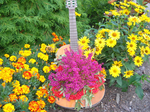 Gitara w jesiennej kompozycji.