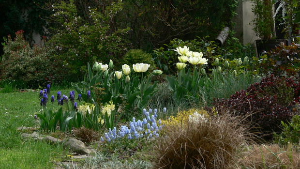 I znów białe kwiaty