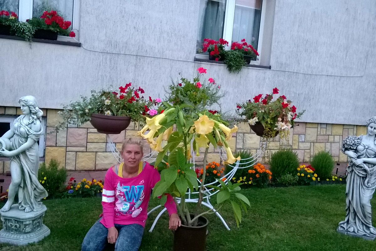 ja i datura