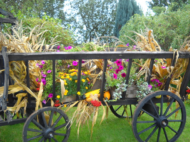 Jesienna kompozycja.