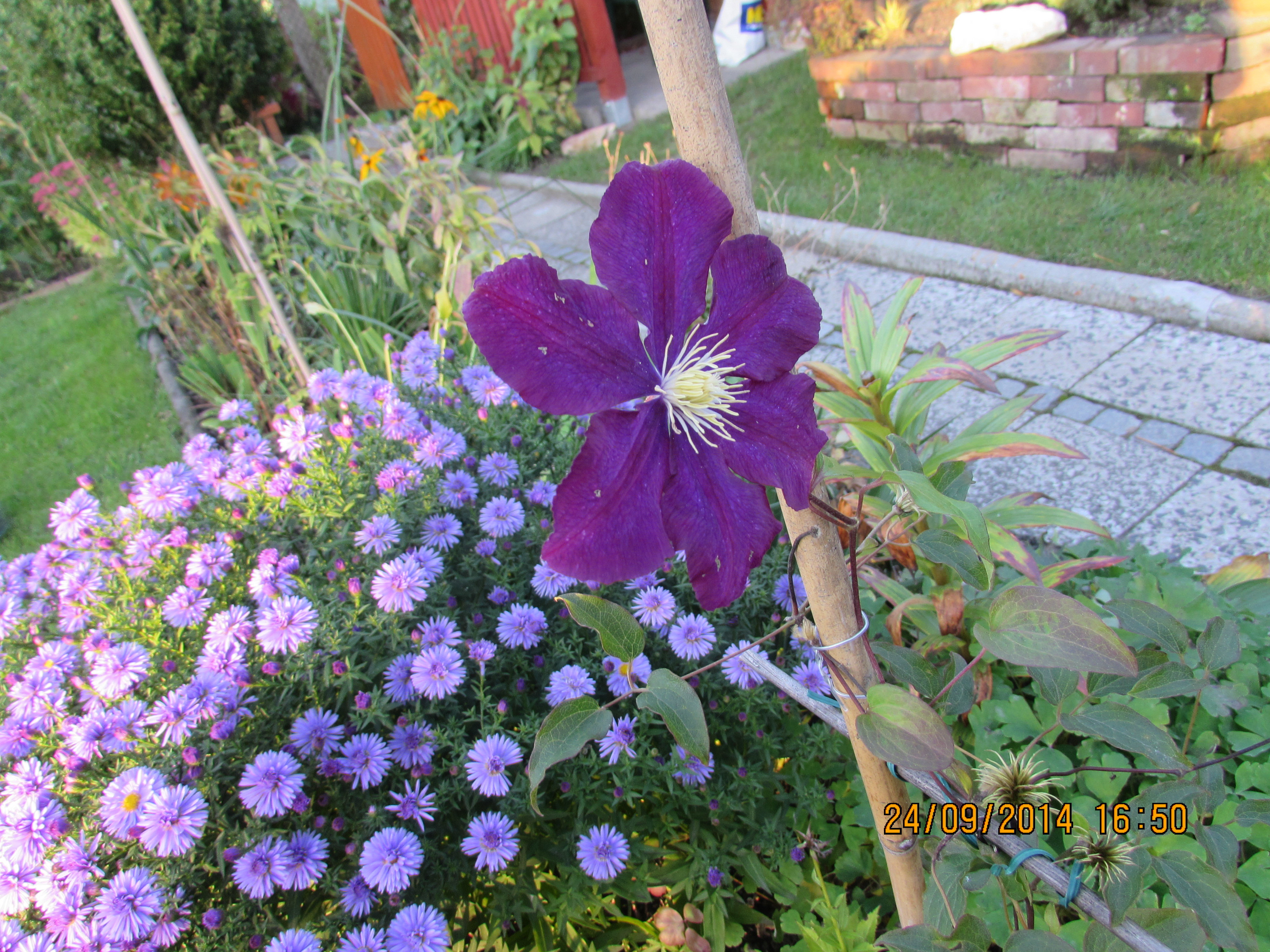 Jesienne marcinki...