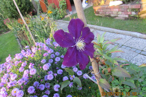 Jesienne marcinki...