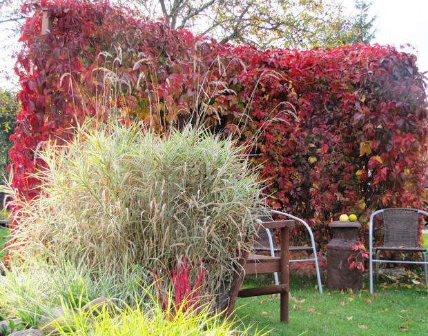 jesienne miejsce do wypicia popołudniowej kawy