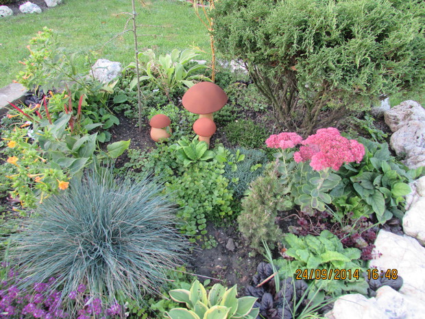 jesiennie..............