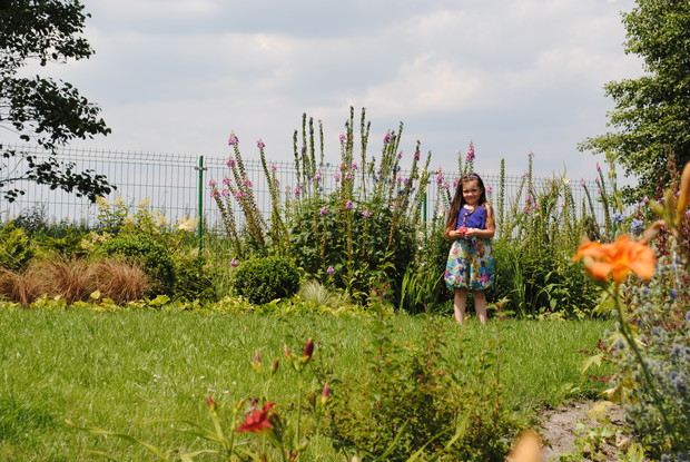 Judytka z kwiatuszkiem 