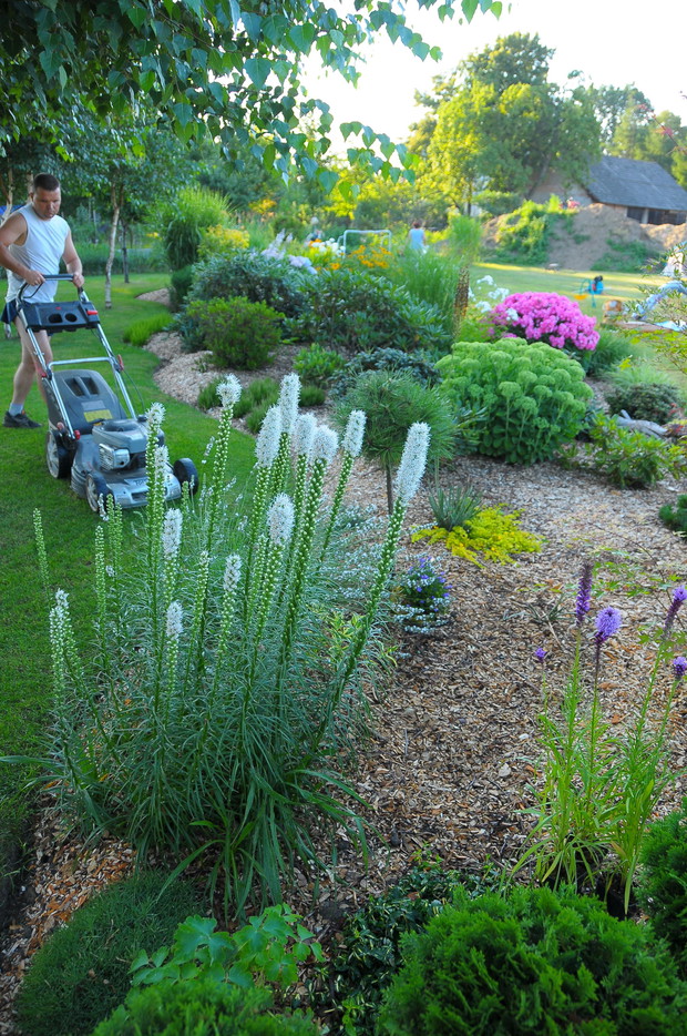 Każdy szaleje na trawniku jak może :)