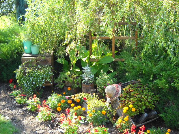 Komoda ze starych desek służy jako kwietnik.