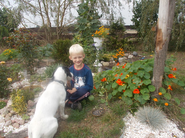 Mateusz z pieskiem "Aleksem" wyprowadził żółwika "Maksa" na spacer