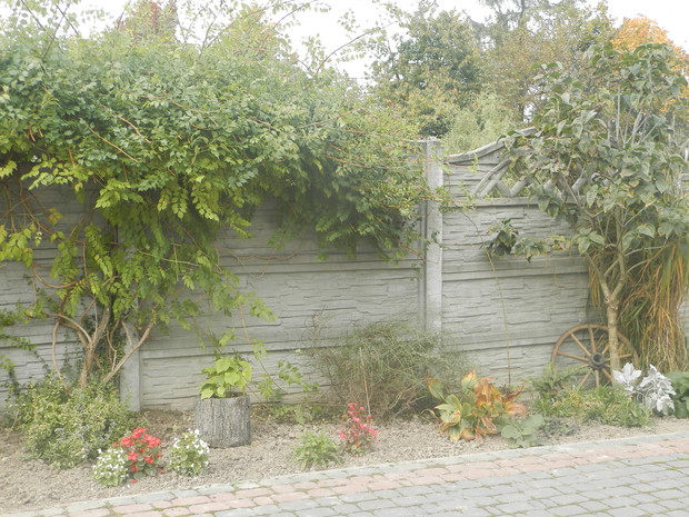 Milin w roli głównej