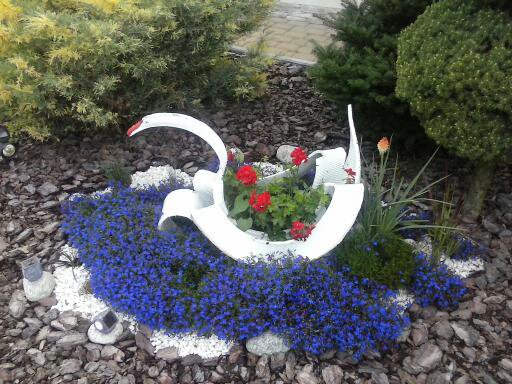 Mój własnoręcznie zrobiony łabądź