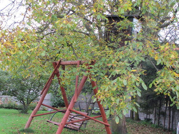 Na huśtawce pod orzechem