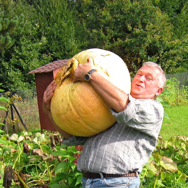 Niektóre zbiory nie mogą się obyć bez pomocy ;-).