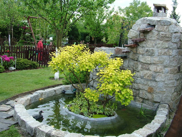 Oczko wodne, gdzie można przysiąść i posłuchać szumu wody