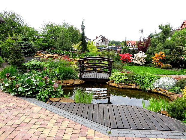 Oczko wodne i mostek